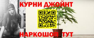 гидропоника Берёзовский