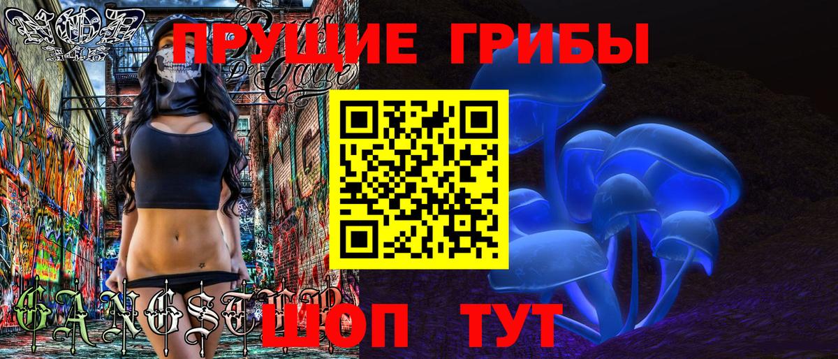 Псилоцибиновые грибы Psilocybe Дмитров