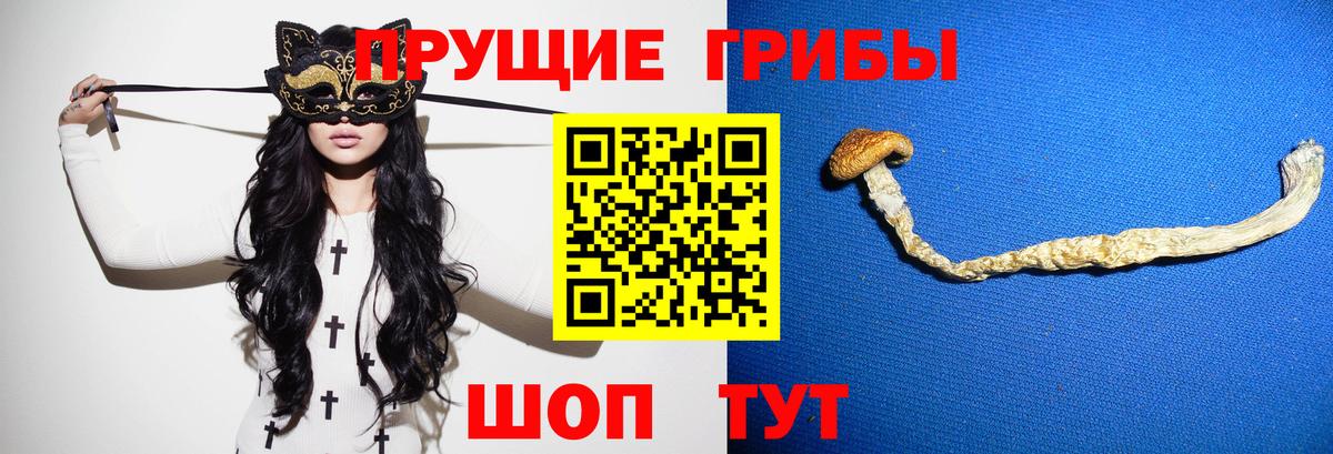 Псилоцибиновые грибы мухоморы  Вход с VPN  Дмитров 
